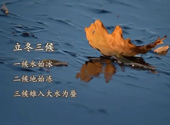 9ce92a49f838c75be0d7b186944167d3_640_wx_fmt=jpeg&from=appmsg&wxfrom=5&wx_lazy=1&wx_co=1.jpg